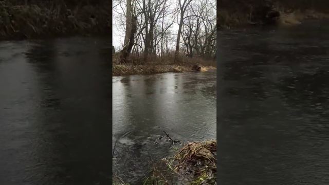 Все равно лучше чем на работе)