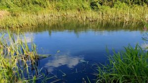 ✅?ВЗОРВАЛ ОГРОМНУЮ ПЕТАРДУ ПОД ВОДОЙ?ЧТО БУДЕТ ЕСЛИ ПЕТАРДА ВЗОРВЕТСЯ В ВОДЕ ?? ПЕТАРДЫ vs РЕКА