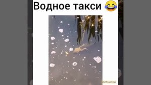 Я под конец рабочего дня