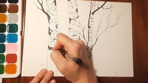 Как нарисовать легко березу акварельными красками. Мастер класс, рисуем березу осенью поэтапно.