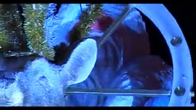 Михаил Чирков представляет "Мы Петербуржцы" смотреть онлайн