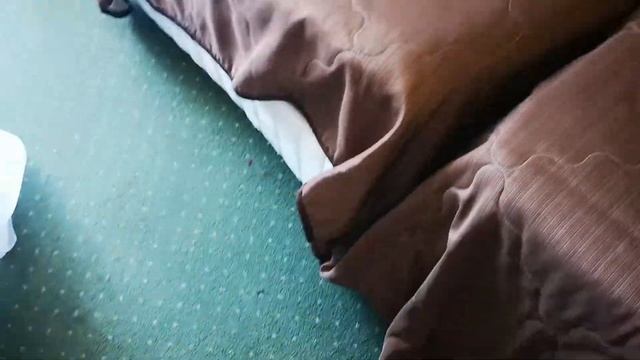 Обзор на двухместный номер в отеле Аквалоо (Сочи) корпус 2 смотреть онлайн