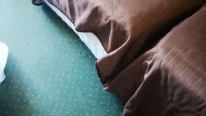 Обзор на двухместный номер в отеле Аквалоо (Сочи) корпус 2