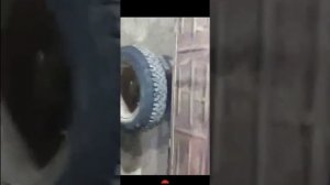 Жигулёвские колёса на муравей.