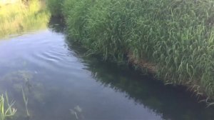 Прочные мостки на даче, на винтовых сваях