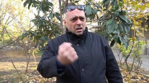 У трёх братьев была традиция. Анекдот смешной!