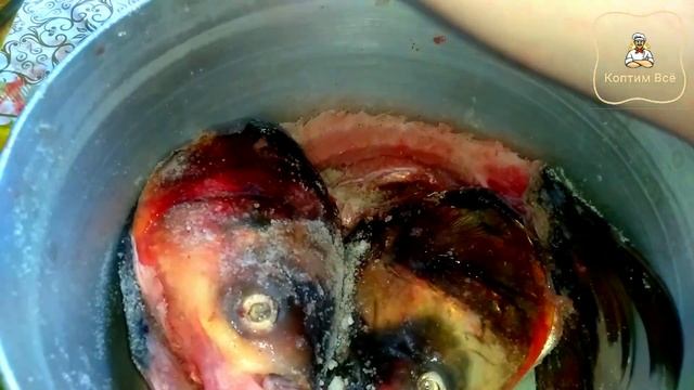 ?Копчение толстолобика холодным способом. Для длительной транспортировки в жару.