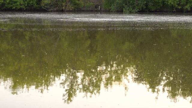 Купили дом в деревне: прогулка семьей смотреть онлайн