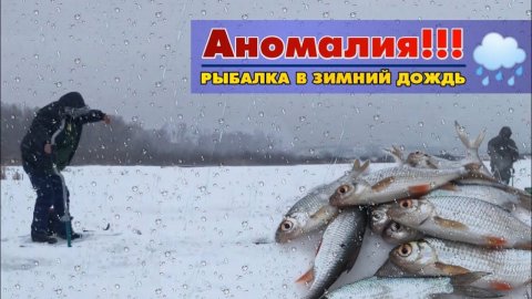 Рыбалка на плотву(густеру).РАДИ ТАКОЙ РЫБАЛКИ В ДОЖДИК зимой СТОИЛО МОКНУТ чтоб хорошо поймать.