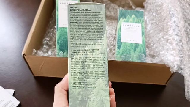 Skin1004 Tea Trica Skincare Line Unboxing  Try On