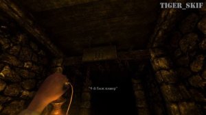 Не издевайтеcь над Тенью - Amnesia: The Dark Descent #12 [Амнезия: Призрак прошлого]