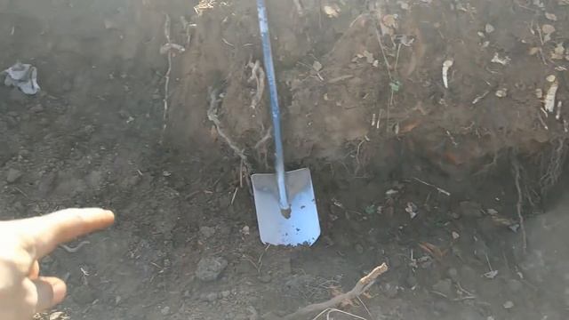 Находки в глубине сгоревшего дома Коп монет и шурф фундамента 18 века с металлоискателем Часть 1 смотреть онлайн