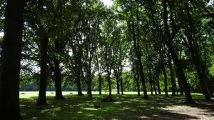 А ў лесе, лесе ды на верасе - Беларуская народная песня