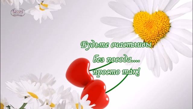 « Добрый день, дорогие мои...»