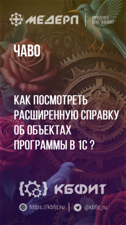 КБФИТ: МЕДЕРП. ЧАВО: Как посмотреть расширенную справку об объектах программы в 1С ?