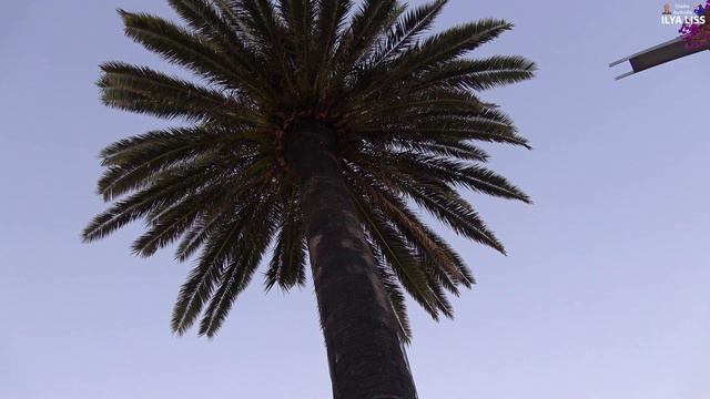 Большие города. Брисбен, часть 8. Днюха Будды. (видео 314) смотреть онлайн