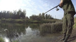 Рыбалка на удочку.Клевала хорошо.