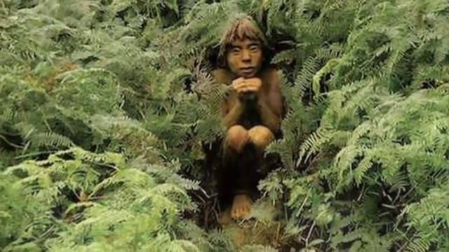 Бруно Торфс и его сказочный лес ( дополненный) смотреть онлайн