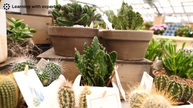 Jamie Butterworth – Online Course Trailer смотреть онлайн