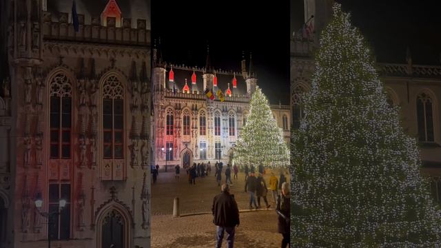 Christmas in Brugge Belgium 🇧🇪🎅 #christmas #christmasmarkets #brugge #belgium #travel #europe