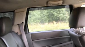 Я Купил самый дешевый Jeep Grand Cherokee