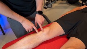 Тест пальпации собственной связки надколенника