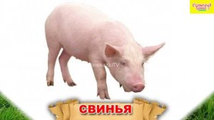 Изучаем слова. Домашние животные+звуки.Обучающее видео для детей