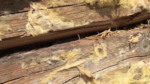 Неправильно установлен оконный отлив. Печальные последствия. смотреть онлайн