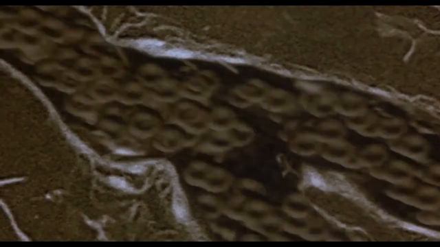 Requiem for a Dream | Piano cover смотреть онлайн