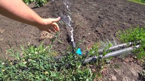 Давление воды самотеком из бочки.