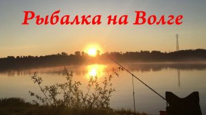 Рыбалка на фидер на реке. Ловля леща и плотвы на Волге