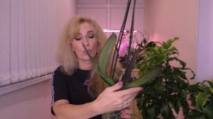 Орхидея КАМЕННАЯ РОЗА. СЧАСТЬЮ НЕТ ПРЕДЕЛА! Как это было...