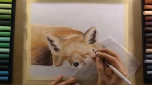 Fox Painting with Soft Pastels | Live Tutorial