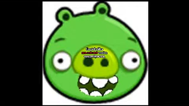 Angry Pigs Theme Song смотреть онлайн