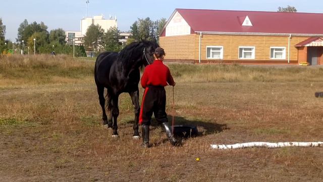 Предварительное тестирование. Эквадор. Работа рядом смотреть онлайн