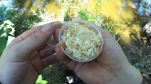 Рыбалка на кивок боковой,ловля рыбы на дикой речке!