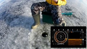 Эхолот "Deeper Pro". Тестирование режима подледной ловли