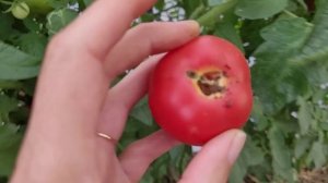 Переехали на ЮГ Ужас что творится с домом