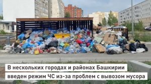 В двух городах и трех районах Башкирии введен режим ЧС из-за проблем с вывозом мусора