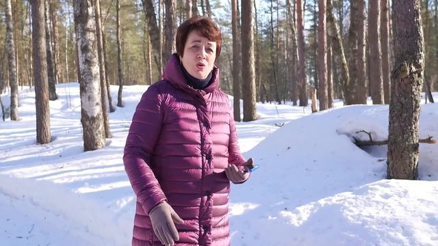 2391. Хлеб на каждый день. Псалом 24:12