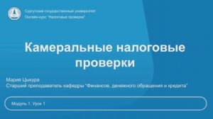 Порядок проведения камеральной налоговой проверки