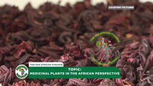 #PAPDebate:Medicinal plants In African Perspective. #FreeYourMindLectures. #PanAfricanPyramid