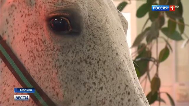 Солярий - друг или враг смотреть онлайн