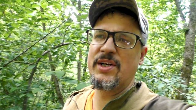 Вскрыл землю под ёлкой, серебро в глухом лесу. 2ч смотреть онлайн