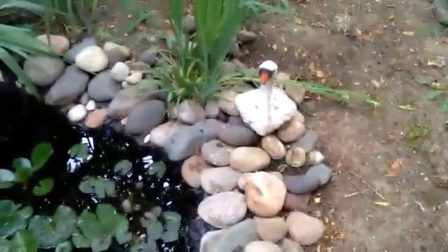 Идея создания мини - пруда на садовом участке. Основной материал: полиэтиленовая пленка, булыжник. смотреть онлайн