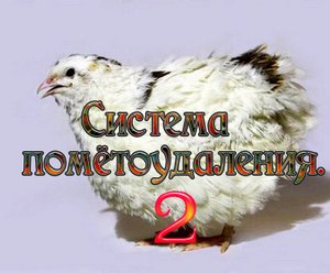 Система помётоудаления на перепелиной ферме 2.