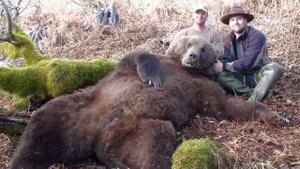 САМЫЕ ГИГАНТСКИЕ ЖИВОТНЫЕ В МИРЕ! - САМЫЕ БОЛЬШИЕ ЖИВОТНЫЕ ПЛАНЕТЫ! ЗЕЛЁНАЯ АНАКОНДА...