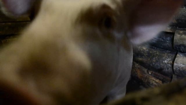 Помыл коляску-День из жизни(Блог о Жизни) смотреть онлайн