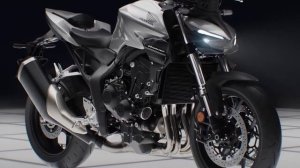 2024 Honda CB1000 Hornet : The Evolution of Street Dominance