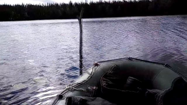 РЫБАЛКА В ПИНЕЖСКОМ РАЙОНЕ 01.07.2020 смотреть онлайн